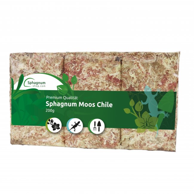Dried Sphagnum moss brick from Chile 200g